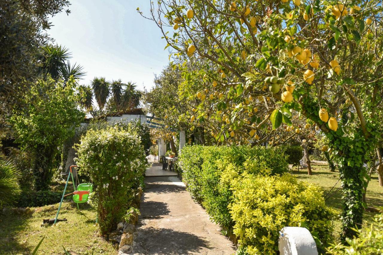 Le Querce Villa Procida Exterior photo
