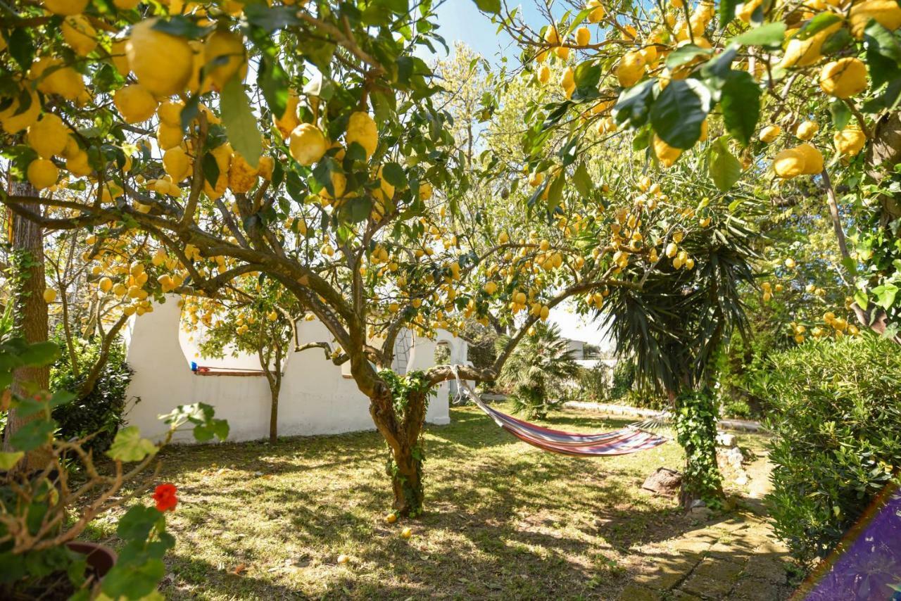 Le Querce Villa Procida Exterior photo