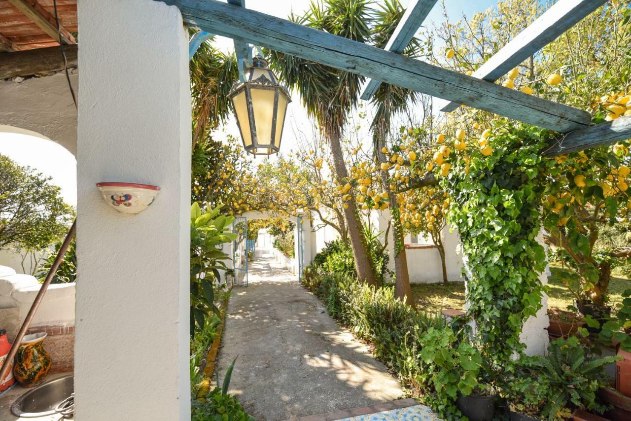Le Querce Villa Procida Exterior photo